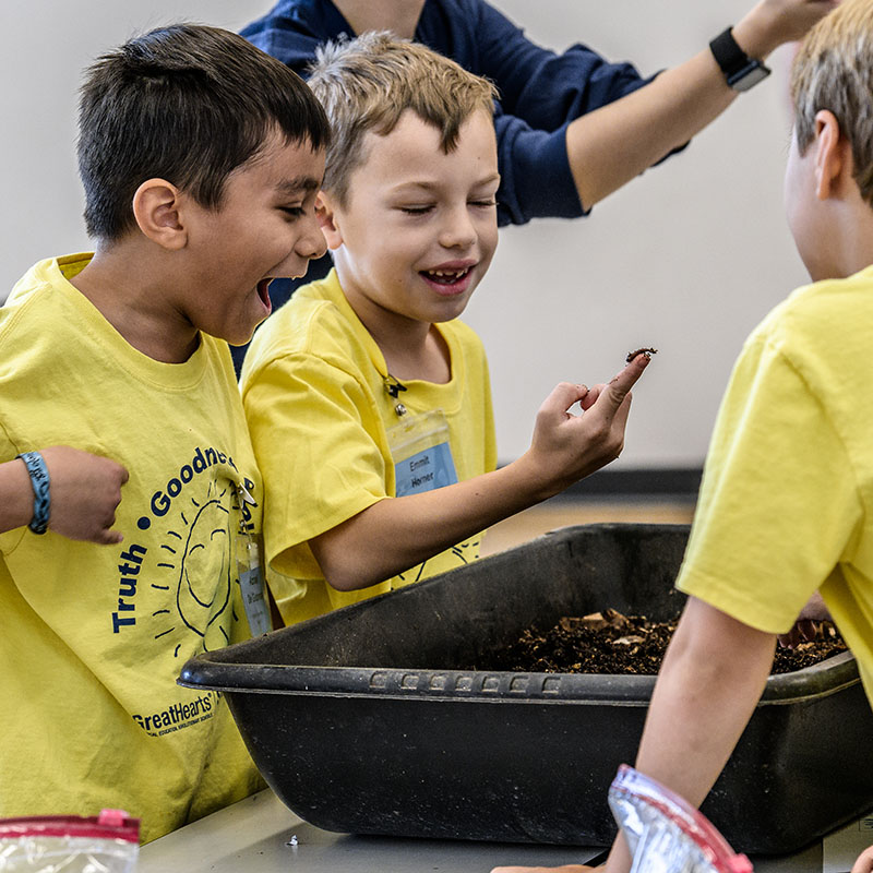 Great Hearts Texas Summer Programs Great Hearts Texas great-hearts-texas-summer-programs-great-hearts-texas